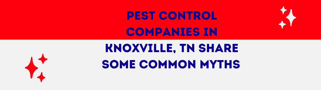 How a Pest Control Companies in Knoxville, TN Share Some Common Myths